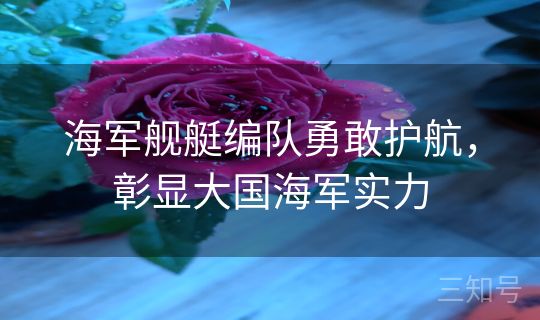 海军舰艇编队勇敢护航，彰显大国海军实力