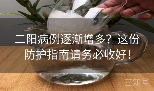 二阳病例逐渐增多？这份防护指南请务必收好！