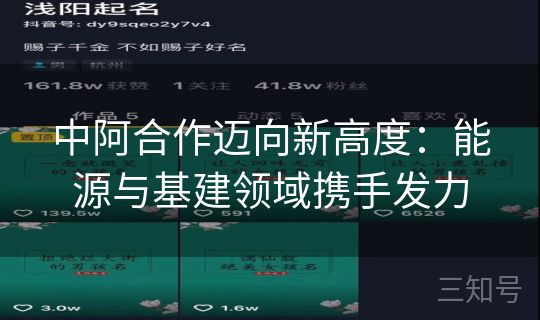 中阿合作迈向新高度:能源与基建领域携手发力 中阿合作迈向新高度:能源与基建领域携手发力